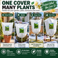 ❄️ 50% dto. Funda protectora de invierno para plantas – transpirable, con cremallera, cordón ajustable y ventana transparente. ¡Reutilizable y fácil de instalar! ✨🌿