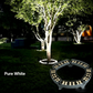 🌳 50% dto. Luz LED anular para árboles – resistente al agua, iluminación exterior. Ideal para árboles, columnas y jardines! 💡✨