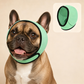 🐶 50% dto. Gorro protector para perros – reduce ruidos, impermeable y de neopreno premium. Protege orejas y calma a tu mascota todo el año! ✨🌊