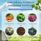 🎅🔥2024 Hot Sale $16.99🎄🎉Home Gardening Universal Slow-Release Tablet Organic Fertilizer (22 PCS)（50% OFF）