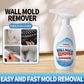 🔥PROMOCIÓN 50 % DE DESCUENTO -🏡Spray antimoho altamente eficaz