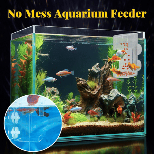 Comedero antiderrames para acuario 🐟💧