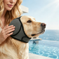 🐶 50% dto. Gorro protector para perros – reduce ruidos, impermeable y de neopreno premium. Protege orejas y calma a tu mascota todo el año! ✨🌊