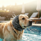 🐶 50% dto. Gorro protector para perros – reduce ruidos, impermeable y de neopreno premium. Protege orejas y calma a tu mascota todo el año! ✨🌊