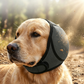 🐶 50% dto. Gorro protector para perros – reduce ruidos, impermeable y de neopreno premium. Protege orejas y calma a tu mascota todo el año! ✨🌊