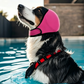 🐶 50% dto. Gorro protector para perros – reduce ruidos, impermeable y de neopreno premium. Protege orejas y calma a tu mascota todo el año! ✨🌊