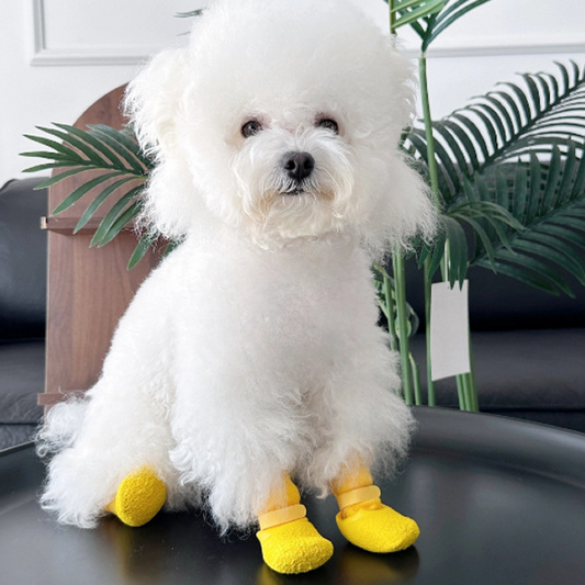 Compra 1 y llévate 1 gratis 🎁✨🐶 50% de descuento 👟 Calcetines para mascotas, impermeables y antideslizantes 🎁✨