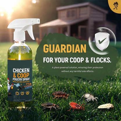 🐔 50% dto. Spray antipiojos y ácaros para gallinas – fórmula botánica, repele plagas y limpia el gallinero. Cuidado doble sin polvo! ✨🌿
