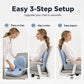 🪑 56% dto. Cojín ergonómico de espuma viscoelástica – soporte lumbar, alivia la presión. Ideal para silla, coche y oficina! 💺✨