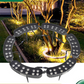 🌳 50% dto. Luz LED anular para árboles – resistente al agua, iluminación exterior. Ideal para árboles, columnas y jardines! 💡✨