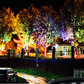 🌳 50% dto. Luz LED anular para árboles – resistente al agua, iluminación exterior. Ideal para árboles, columnas y jardines! 💡✨