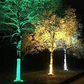 🌳 50% dto. Luz LED anular para árboles – resistente al agua, iluminación exterior. Ideal para árboles, columnas y jardines! 💡✨
