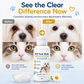 🐾 50% dto. Crema limpiadora suave para manchas de lágrimas en mascotas – calma la piel delicada y elimina residuos. Con extractos vegetales y 50 ml! ✨💧