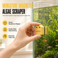 🐠 50% dto. Limpiacristales magnético de doble cara para acuario – limpia el interior desde fuera, elimina algas sin mojarte. ¡4 colores y agarre compacto! ✨🧲