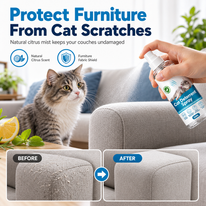 🐱 50% dto. Spray antiaarañazos para gatos con aroma cítrico natural – protege sofás y muebles de uñas afiladas. ¡Fácil de aplicar en 3 pasos, 100 ml! ✨🛋️