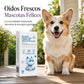 🐾 50% dto. Bastoncillos de algodón para limpieza de oídos y ojos de mascotas – solución salina purificada, suaves y prácticos. ¡25 o 50 piezas para gatos y perros! ✨👂