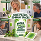 🛡️ 50% dto. Parches antimoho botánicos autoadhesivos – gel natural que protege esquinas y juntas húmedas, fácil de pegar en 3 pasos. ¡6 piezas para baño, cocina y hogar, verde o azul! ✨💧