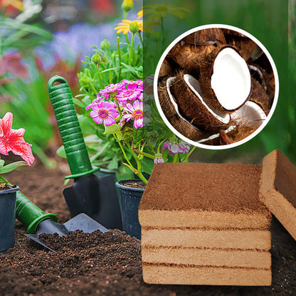 🎁Hot Sale 50% OFF⏳Organic Coconut Coir for Plants